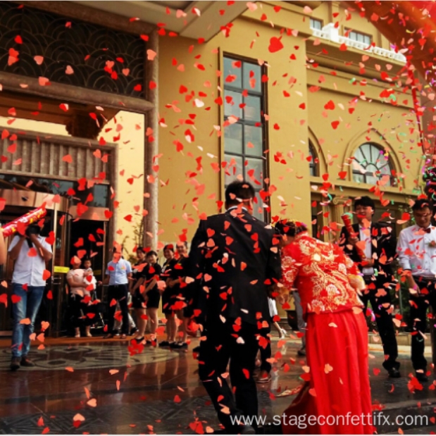 Flowers Party Popper Eco Friendly Confetti
