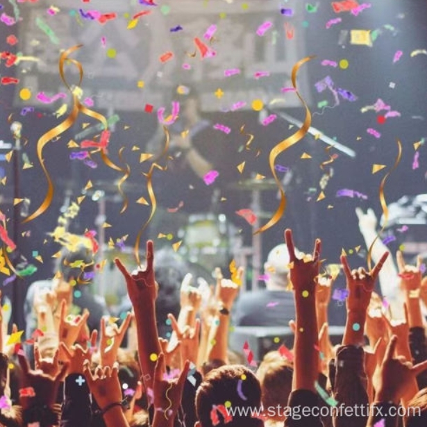Celebrate party pleasantly surprised handheld confetti