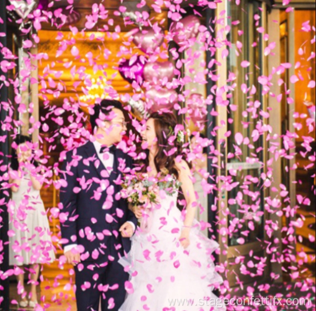 Rose Petal Wedding Flowers Party Popper