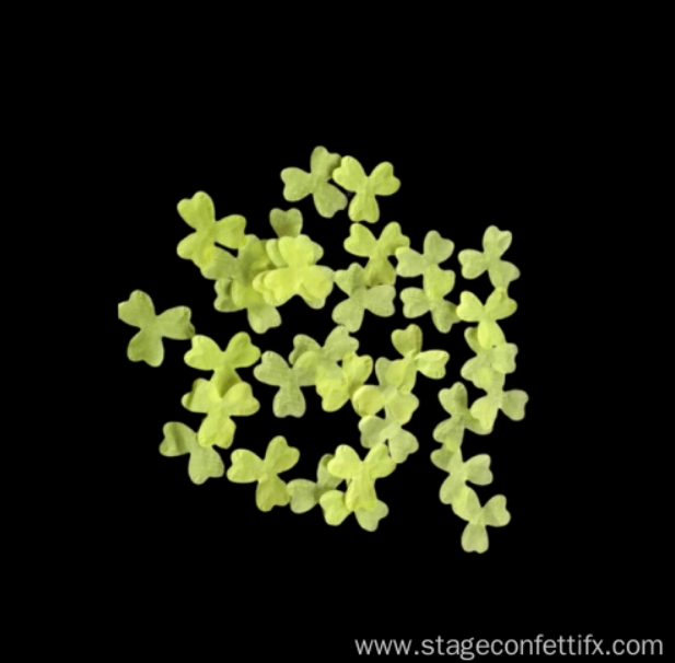 Custom Shape Confetti price