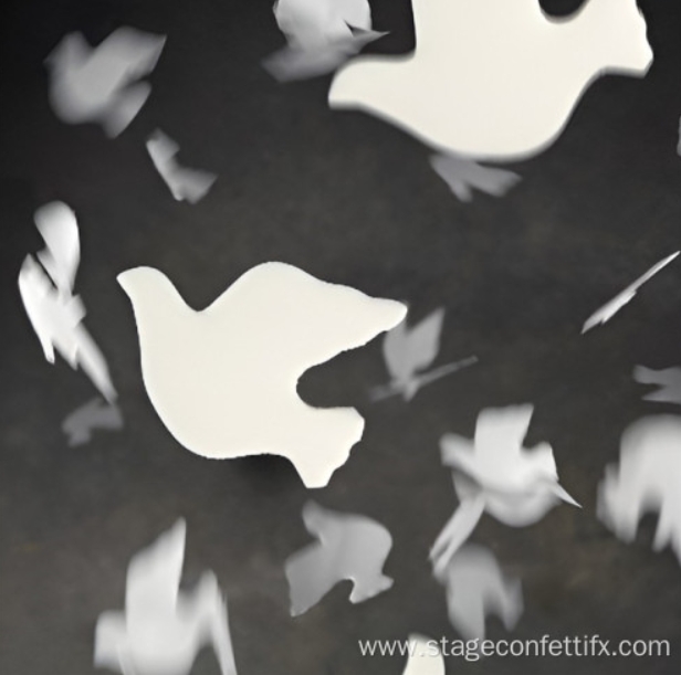 Custom Shape Confetti price