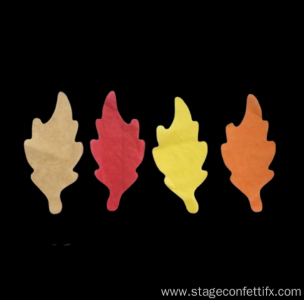 Custom Shape Confetti price