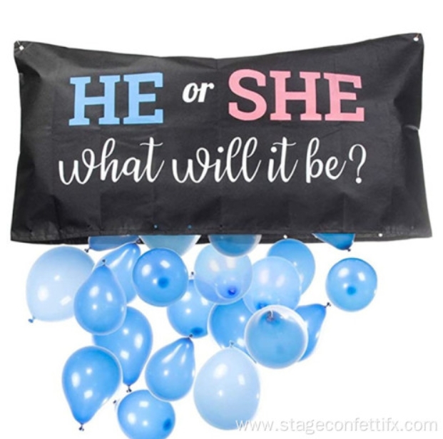 Baby Gender Reveal Balloon Drop Bag