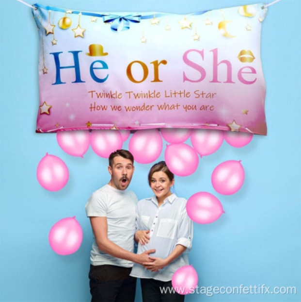Baby Gender Reveal Balloon Drop Bag